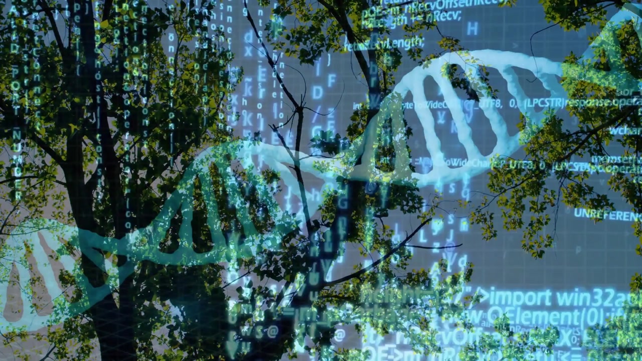 Viewing canopy and overlaying turquoise double-helix with code streams visualizing technology data