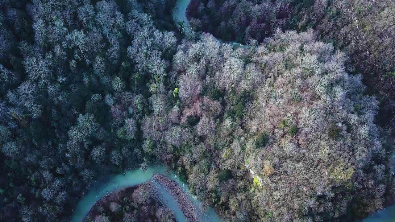 Vista aerea di un fiume serpeggiante che scorre attraverso una foresta