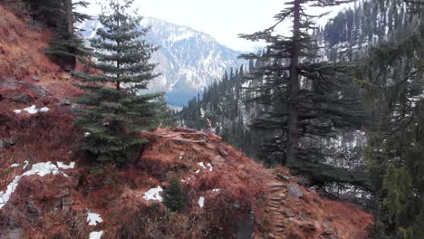 Aerial-Orbital-Parallax-Shot-of-a-27-year-Old-Indian-Male-Standing-in-the-Ridge-of-a-mountain-in-a-Valley-with-huge-Pine-Trees-covered-with-snow-in-Manali,-Himachal-Pradesh-shot-with-a-drone-in-4k