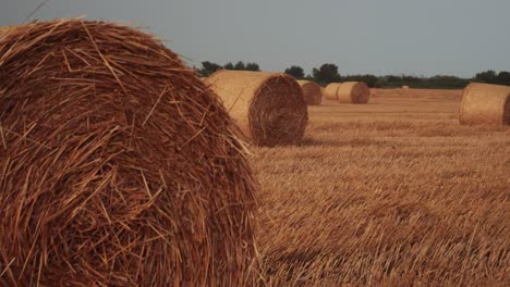 bales of hay in rural field after harvest