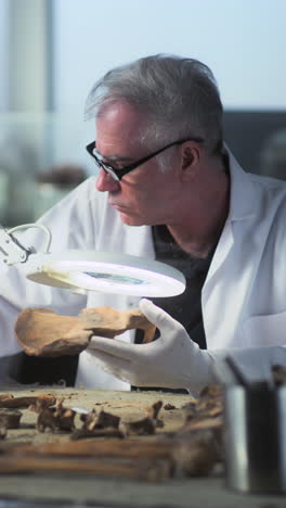 archaeologist examining ancient bone fragment