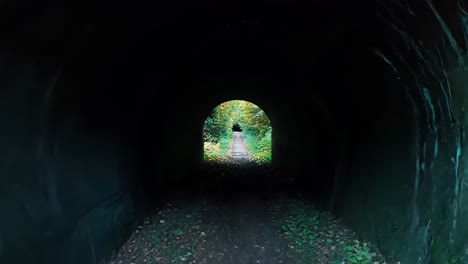 a tunnel in the middle of a forest filled with trees