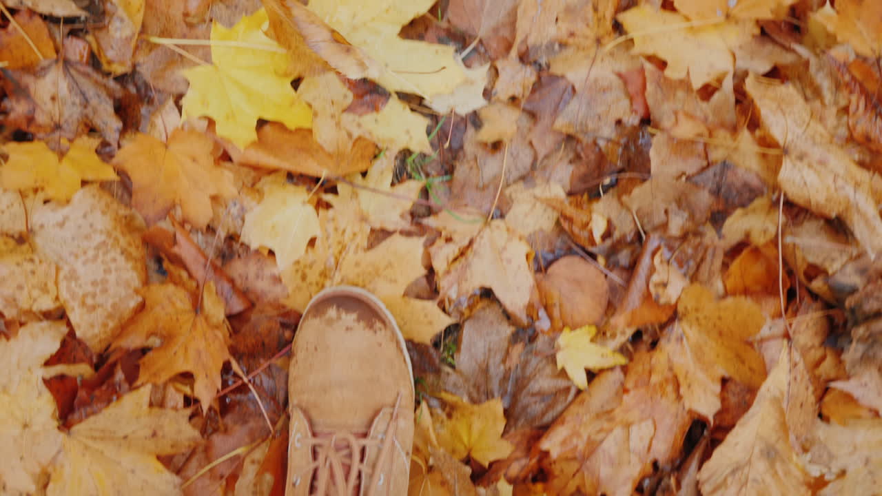 piernas femeninas con botas caminan sobre hojas de otoño caídas