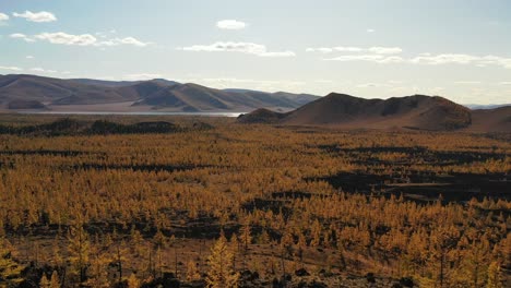 aerial dolly in daytime of forest and lake at fall, mongolia