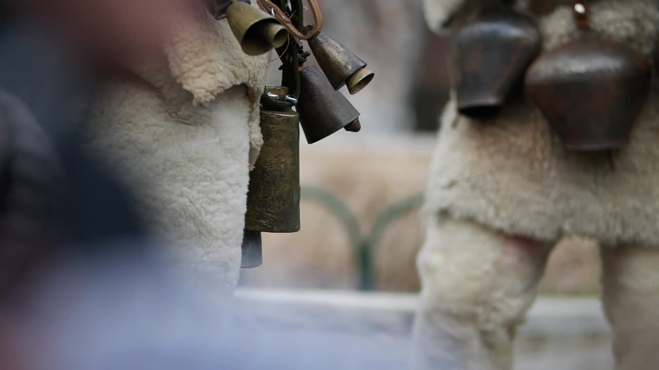 Enorme schuddende bellen aan de middel van een Bulgaarse kuker