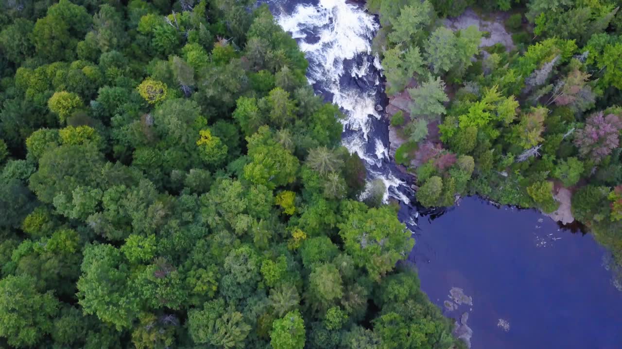 은행 양쪽에 상록수가 있는 강 급류의 조감도
