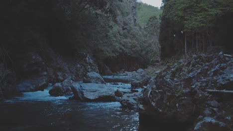 river flowing through rocks in the forest at dusk - static shot