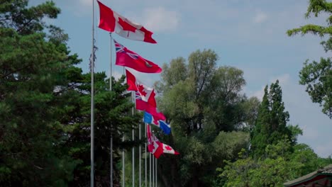 canadian flags moving by the wind