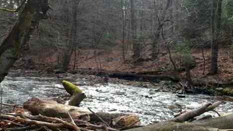 Majestic-forest-landscape-and-river-with-sun-reflection-in-low-angle-gimbal-view