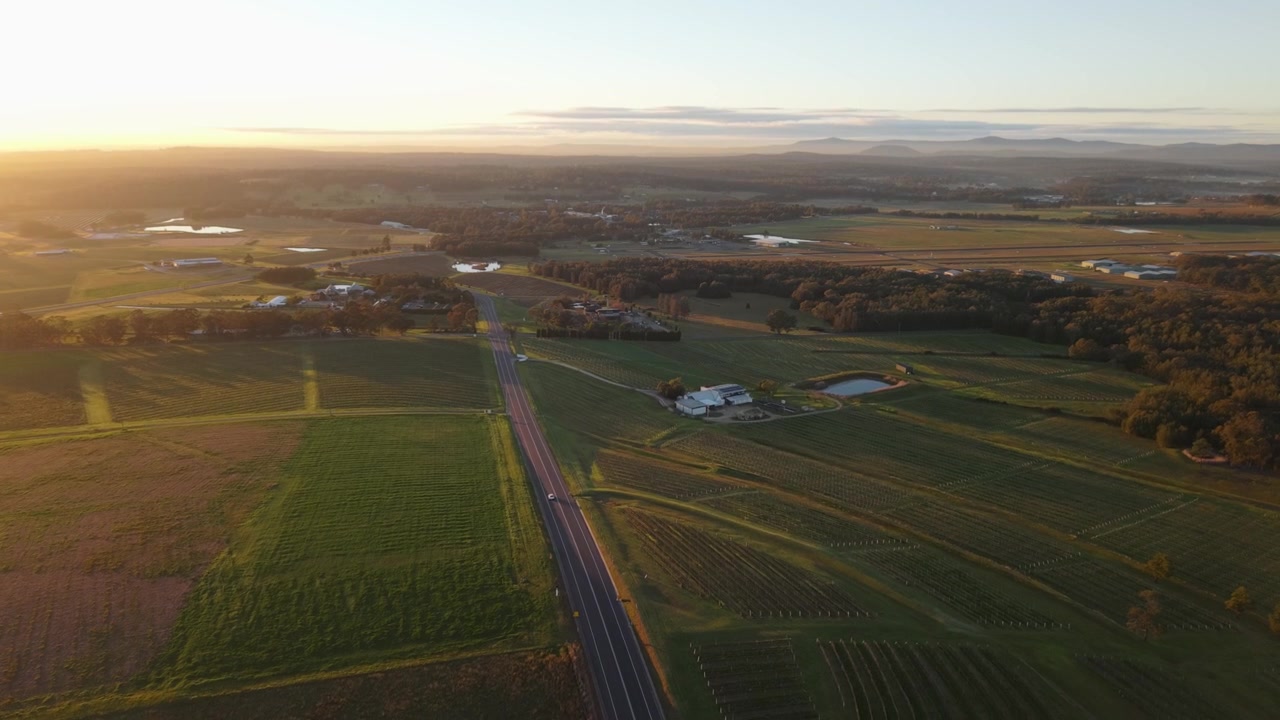 Sunrise aerial above Hunter Valley vineyards and country road near Newcastle, drone ascend as car drives along peaceful road