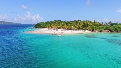 fotografía aérea de muchos turistas en una isla de lujo con palmeras tropicales y agua turquesa - cayo levantado, república dominicana