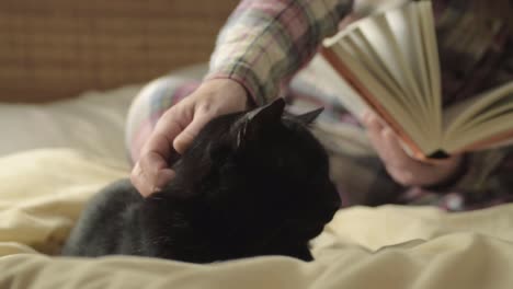 Haustierbesitzer-Liest-Buch-Im-Bett-Und-Hält-An,-Um-Schwarze-Katze-Zu-Streicheln,-Mittlere-Aufnahme