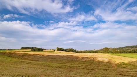 A-timelapse-video-of-the-harvester-working-in-the-field