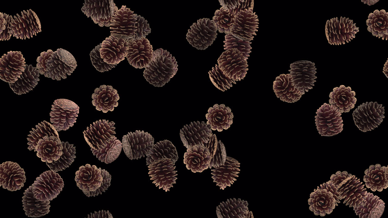 cono de pino invierno navidad bucle de azulejos remolino con alfa