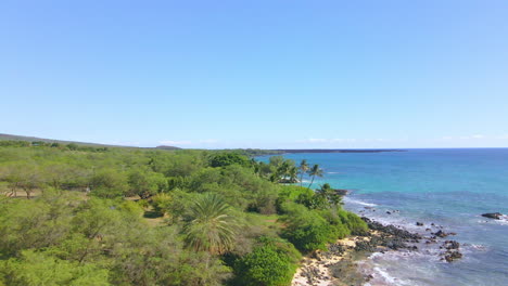 Vista-Aérea-De-La-Paradisíaca-Isla-Hawaiana-Maui-Con-Playa-Exótica-Y-árboles-Exuberantes