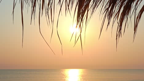 Colorful-golden-sunset-over-the-sea-with-straw-umbrella-stems-waving-in-the-foreground