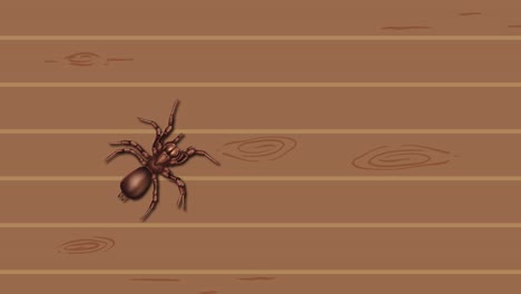 spiders moving across a wooden surface