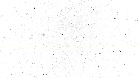 3d-schwarzer drahtrahmen dreht und montiert sich zu einem 3d-bitcoin-symbol und dollarbaum. 4k 3d-saubere animation auf weißem hintergrund