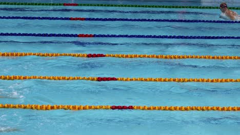 swimmers racing in lanes at a swimming competition