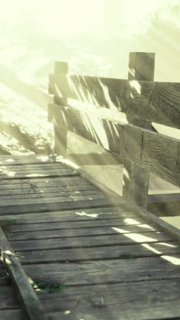 beautiful wooden bridge surrounded by soft sunlight in a serene forest