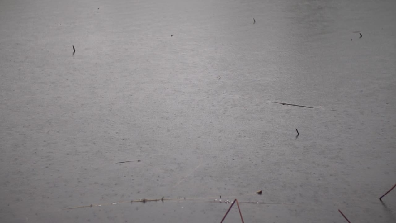 slowmotion에서 물에 빗방울