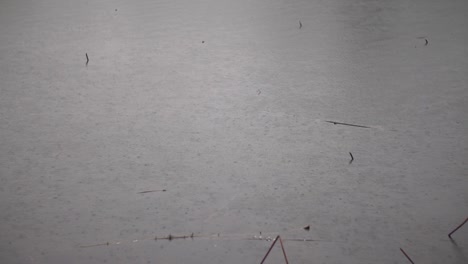 gotas de lluvia en el agua en cámara lenta