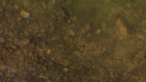 straight down view on rocks and pebbles underwater with small ripples