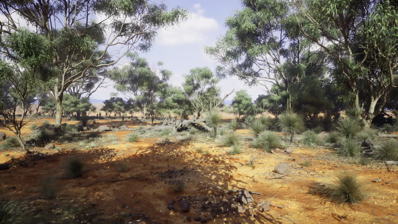 Desert landscape under clear sky with scattered trees and rocky terrain