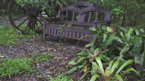 Medium-shot-of-a-park-bench-covered-with-foliage,-leaves-dying-and-falling-from-the-trees-above-as-the-season-change
