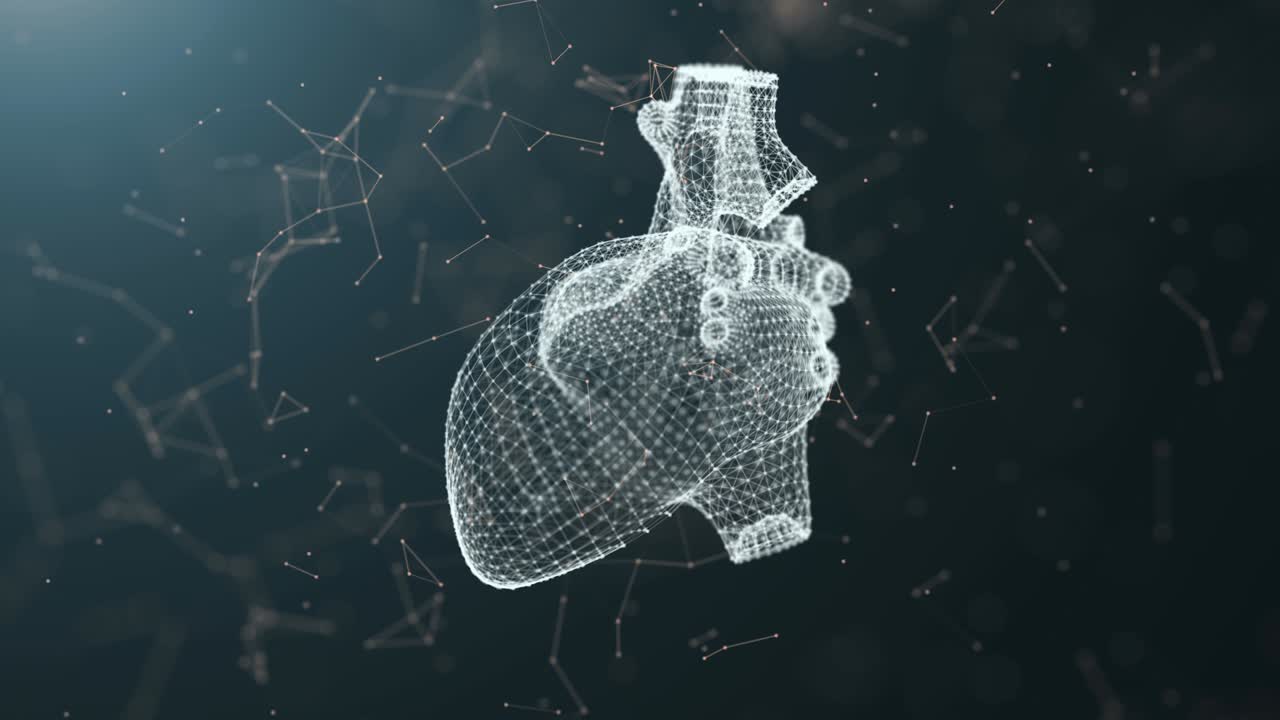 심장 지점의 플렉서스