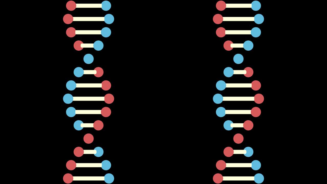 2D animation of two DNA on a black background. 60FPS