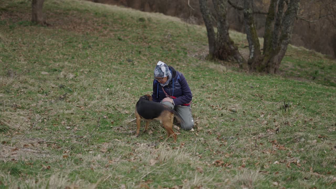 Man and Dog Hiking in Forest