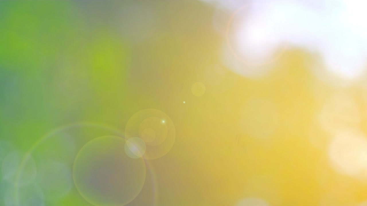 Defocused abstract nature background with green leaves and bokeh lights