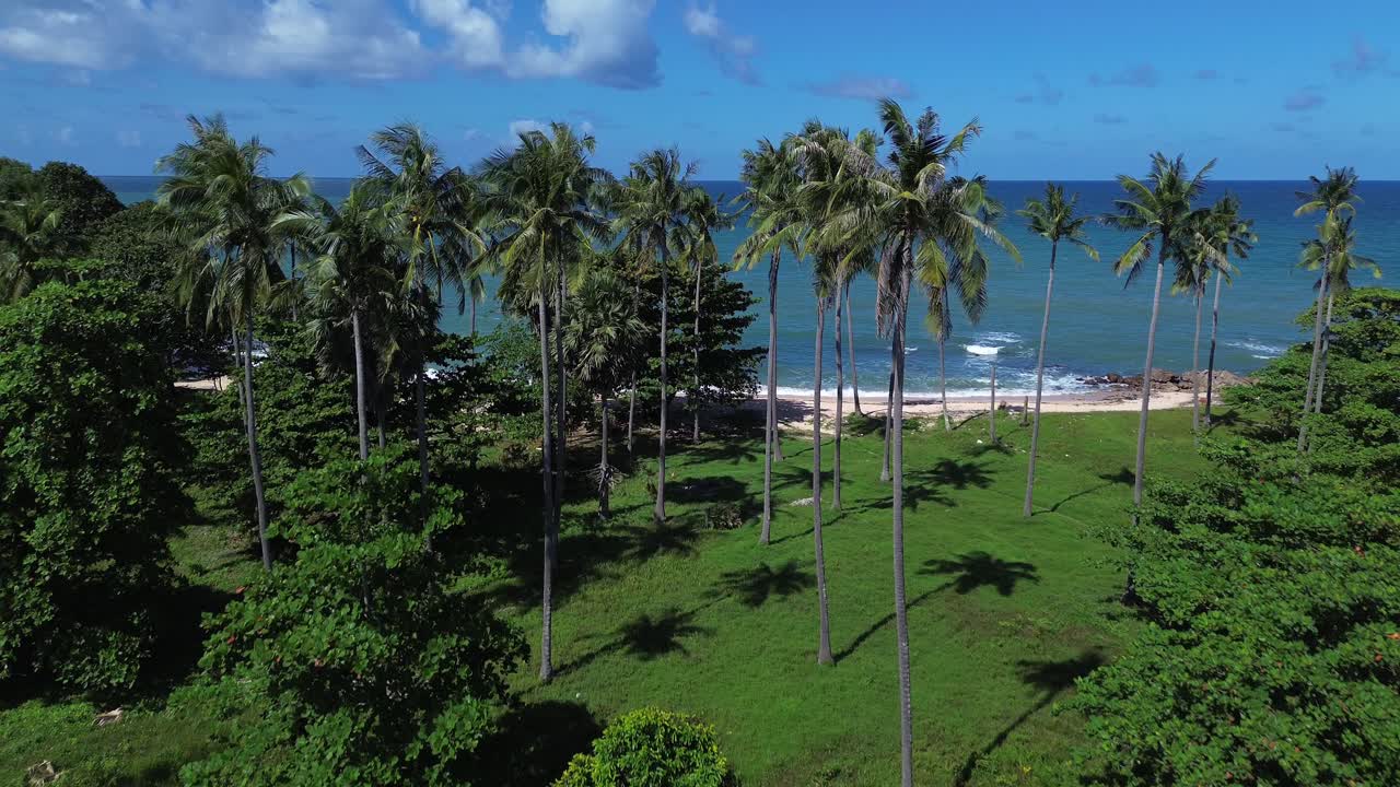 Aerial drone footage flying above lush palm trees on Koh Lanta, Thailand, revealing a remote tropical hidden beach with no people, showcasing the natural coastline and pristine scenery