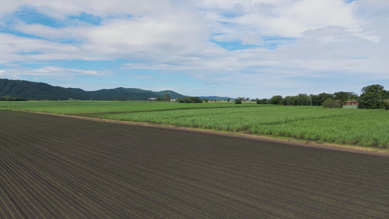 사탕수수  과 농지 의 공중 사진
