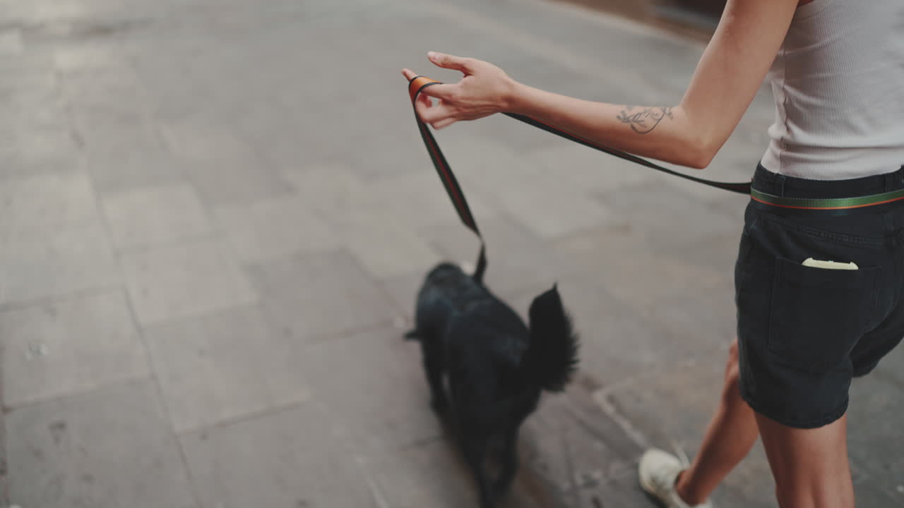 Donna che porta a spasso un cane nero al guinzaglio