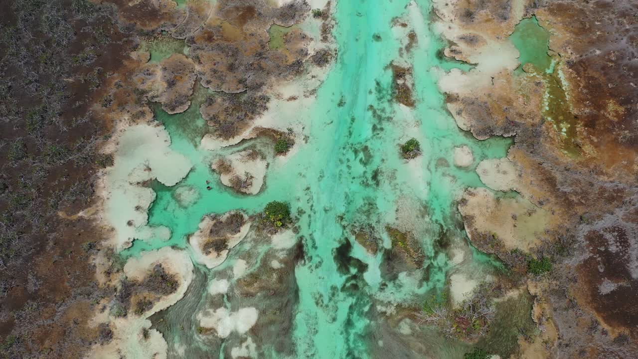 Vista aerea con drone della Laguna di Bacalar, Messico, che mostra l'acqua turchese vibrante che si snoda attraverso una giungla lussureggiante e zone umide. Paesaggio naturale mozzafiato che mette in risalto la famosa “Laguna dei Sette Colori”