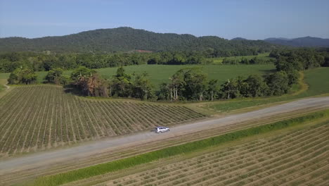 Antena:-Dron-Rastreando-Un-Vehículo-Que-Circula-Por-Un-Camino-De-Tierra-Hasta-Que-El-Dron-Se-Detiene-Y-Se-Desplaza-Para-Revelar-El-Paisaje,-Cerca-De-Babinda-En-El-Extremo-Norte-De-Queensland