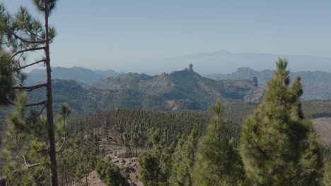 hermosa toma de drones de un panorama montañoso con bosque desde el pico de las nieves hasta el roque nublo, gran canaria