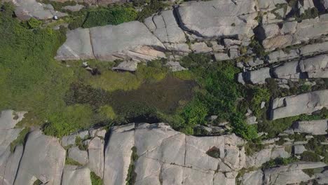 toma real con rocas y arbustos con textura de suelo