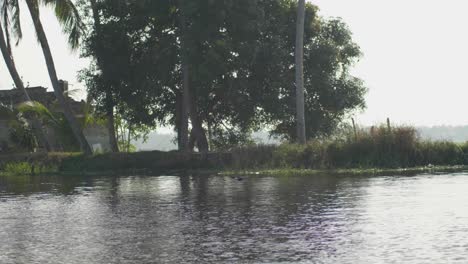 Tieffliegende-Kerala-Backwaters-Vogelwelt-Mit-Traditionellen-Und-Modernen-Strukturen-Entlang-Der-Ufer-Im-Hintergrund-Mit-Großen-Palmen-Und-Nachmittagssonne