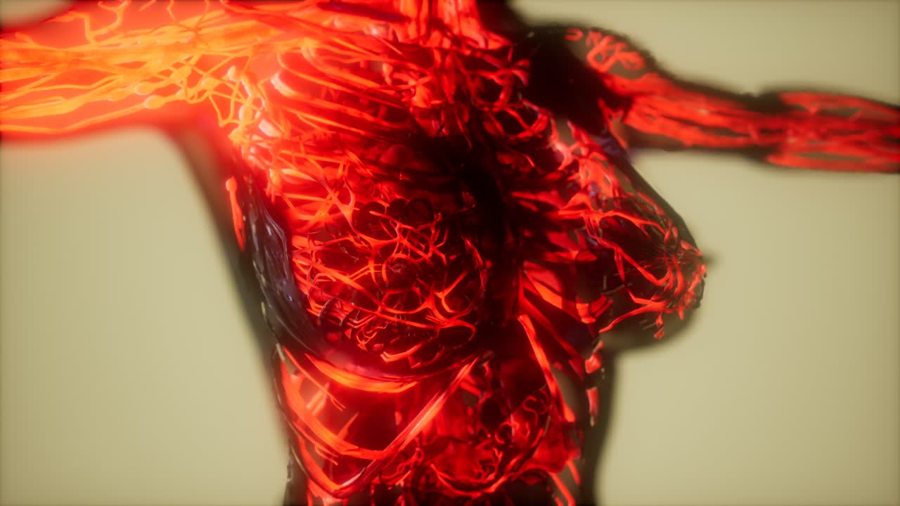 inspección de la sangre en los vasos sanguíneos del sistema circulatorio