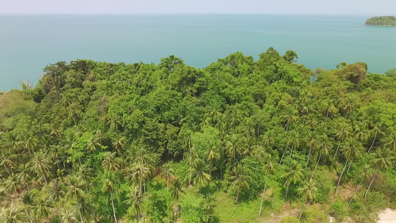 koh chang denso palmera bosque costa océano aéreo vista inclinada hacia abajo tailandia