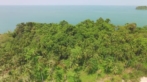 koh chang dense palm tree woodland coastline ocean aerial tilt down view thailand