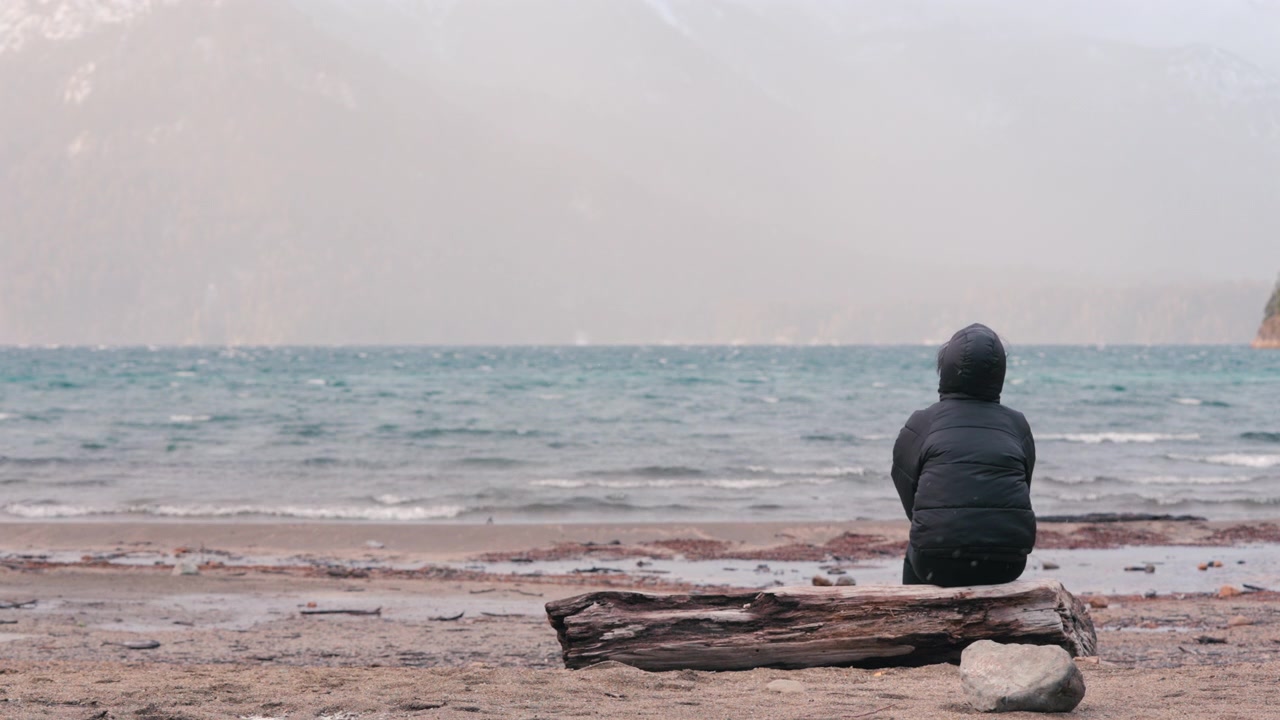 Una persona con una giacca con cappuccio siede da sola su un tronco, contemplando l'oceano ventoso. Ideale per temi di solitudine e contemplazione nella natura.