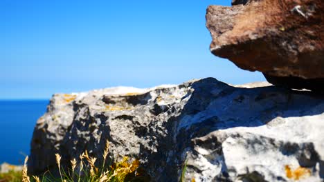 Highland-Hierba-Colorida-Que-Sopla-En-La-Ladera-De-La-Montaña-Soleada-Dentada-Rocosa-Lento-Tiro-Inverso