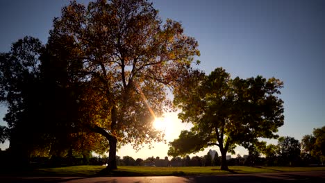 Woman-biking-in-Denver-City-Park-during-sunset-in-Denver,-Colorado