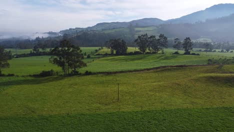 -Slow-cinematic-drone-clip-moving-revealing-a-green-field-with-trees-and-a-majestic-background-in-Campo-San-Augustin,-Machachi,-Equador