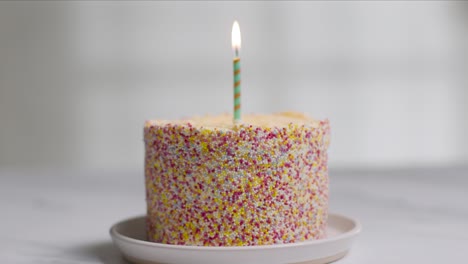 studio shot birthday cake covered with decorations and single candle being blown out 5