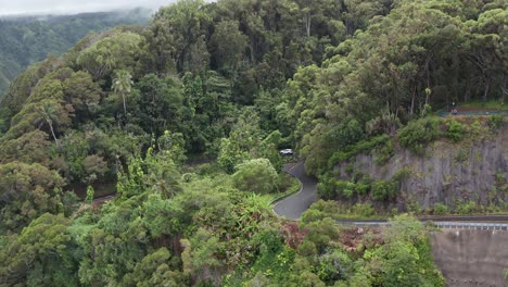 Aerial-close-up-dolly-shot-following-along-the-tropical-rainforest-coastal-highway-Road-to-Hana-in-Maui,-Hawai'i